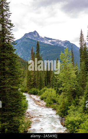 Incontro delle Acque Rogers pass in Canada Foto Stock