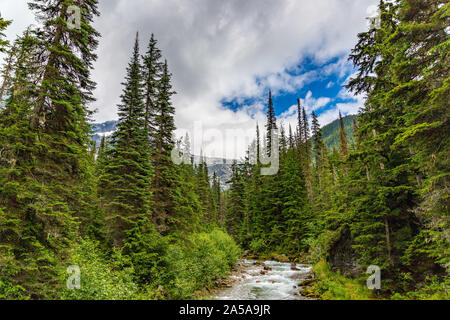 Incontro delle Acque Rogers pass in Canada Foto Stock