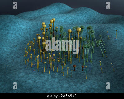 3D illustrazione di spore di funghi, ffungus rilascia spore, paesaggio di microcosmo, spora caduti sulla superficie di pelle Foto Stock