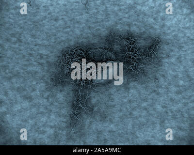 3D illustrazione di spore di funghi, ffungus rilascia spore, paesaggio di microcosmo, spora caduti sulla superficie di pelle Foto Stock