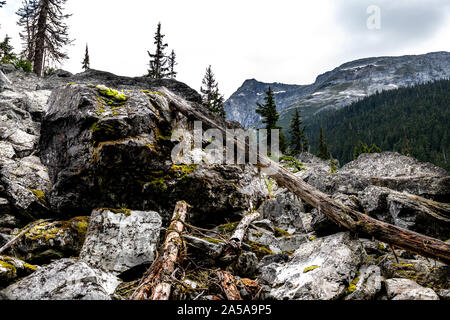 Incontro delle Acque Rogers pass in Canada Foto Stock