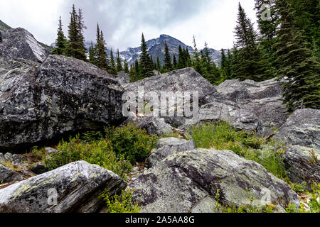 Incontro delle Acque Rogers pass in Canada Foto Stock