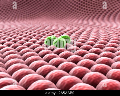 La moltiplicazione delle cellule, immagine microscopica delle cellule, divisione della cellula di cancro Foto Stock