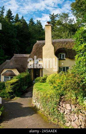 Cottage con il tetto di paglia nel pittoresco villaggio di Selworthy. Parco Nazionale di Exmoor, Somerset Foto Stock