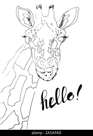 Ritratto di una giraffa divertente isolato su sfondo bianco. Giraffa disegnata a mano. Illustrazione. Vettore. Illustrazione Vettoriale