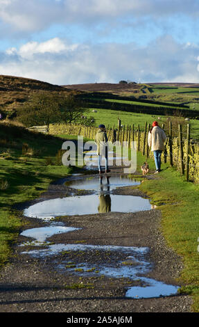 Dog walkers, tardo autunno, Haworth moor, West Yorkshire Foto Stock