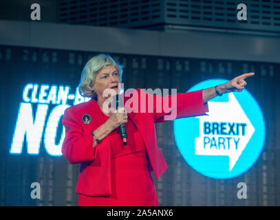 Ann Widdecombe, europarlamentare e membro del partito Brexit risolve un rally di sostenitori di Westminster. Foto Stock