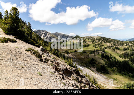 Sunrise luogo parco nazionale di Mt. Rainier Foto Stock