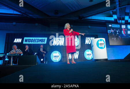 Ann Widdecombe, europarlamentare e membro del partito Brexit risolve un rally di sostenitori di Westminster. Foto Stock