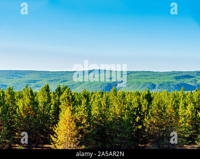 Affacciato sul verde della foresta con montagne verdi al di là sotto cieli azzurri. Foto Stock