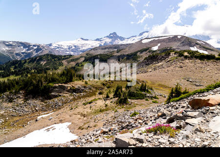 Parco nazionale di Mt. Rainier Foto Stock