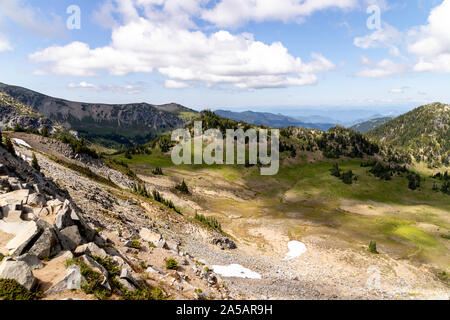 Parco nazionale di Mt. Rainier Foto Stock