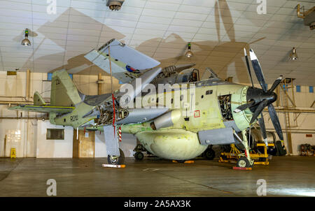 Fairey Gannet, AEW.3, XL500, alla soglia.Aero giorno/Nightshoot al Galles del Sud Aviation Museum Foto Stock