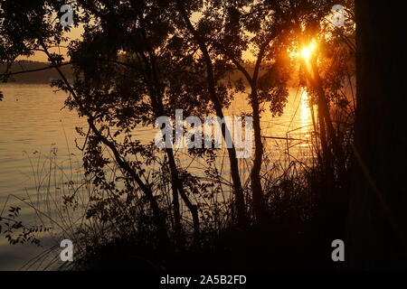 Il sorgere del sole al mattino presto attraverso le foglie sopra il lago di Banyoles Foto Stock