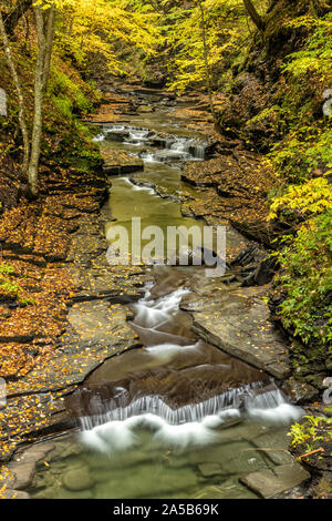 Un ruscello tranquillo nel profondo Fillmore Glen riflette i colori dell'oro di autunno in Moravia, New York. Foto Stock