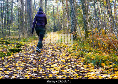 Donna che cammina nella foresta di autunno. Il percorso coperto con foglie di giallo. Foto Stock