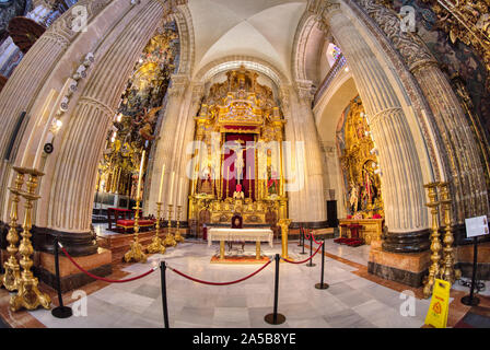 Interno della Chiesa del Nostro Salvatore - Iglesia del Salvador a Siviglia Spagna Foto Stock