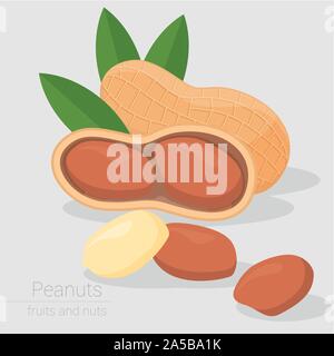 Peanut Icona vettore Illustrazione Vettoriale