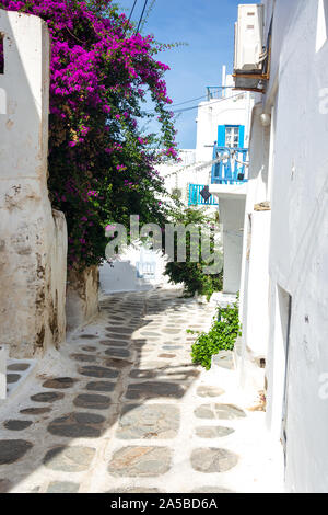 Strade strette strade vuote e finestre blu con edifici bianchi a Mykonos Grecia Foto Stock