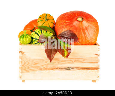 La Zucca in legno da scatola vassoio isolato su bianco. Immagine inclusa tracciato di ritaglio Foto Stock