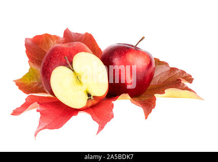 Mele luminose su red autumn leaf su sfondo bianco Foto Stock