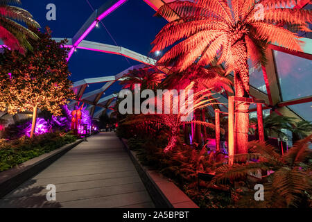 Collegamenti incantato dal rebbio Bech Studio presso la Crossrail Roof Garden. Invernale annuale festival delle luci a Canary Wharf London Inghilterra England Foto Stock