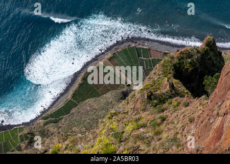 Le piantagioni e Oceano Atlantico dal Cabo Girao skywalk e dal punto di vista, Camara de Lobos, Isola di Madeira, Portogallo, Foto Stock