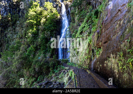 Cascata do risco o Risco cascata, nelle Levada do risco a Rabacal, Madeira, Portogallo Foto Stock