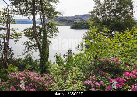 Fioritura fiori, alberi e Loch Portree, visto dalla pista a piedi attorno al grumo, una collina sul bordo di Portree township, Scotland, Regno Unito. Foto Stock