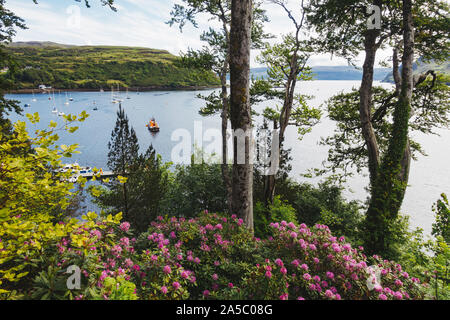 Fioritura fiori, alberi e Loch Portree, visto dalla pista a piedi attorno al grumo, una collina sul bordo di Portree township, Scotland, Regno Unito. Foto Stock