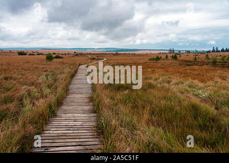 Percorso di legno nel parco naturale Eifel Hohes Venn. Foto Stock