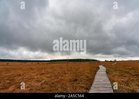 Walker in riserva naturale Hautes Fagnes, Belgio. Foto Stock