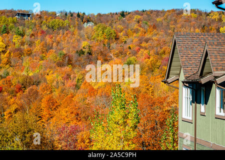I colori dell'Autunno in montagna Foto Stock