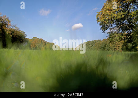 Colonia, Germania. Xvi oct, 2019. Le nuvole si muovono oltre il Gleueler Wiese. Vi è una feroce controversia circa il prato nella cintura verde se il naturale spazio per nuovi campi sportivi possono essere toccati. (Zu dpa/lnw: 'Dispute su Adenauer's legacy: Colonia del " Central Park' diventa un problema politico") Credito: Oliver Berg/dpa/Alamy Live News Foto Stock