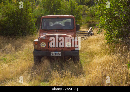 Vista scena di 4x4 Suzuki Samurai nella foresta Foto Stock