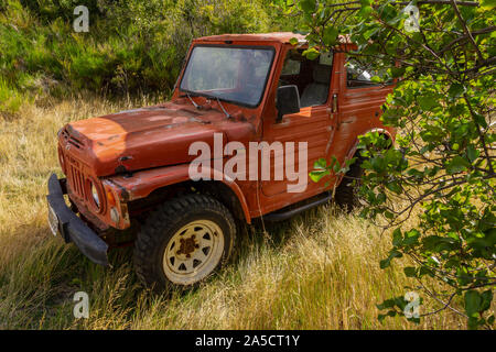 Vista scena di 4x4 Suzuki Samurai nella foresta Foto Stock