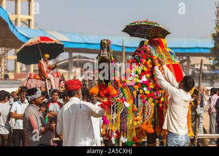 Mestieri di cammelli a Pushkar Foto Stock