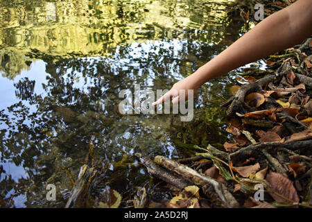 Close up dito tocca l'acqua e la goccia di acqua che cade e creazione di naturale e la calma delle forme d'onda,con calma concetto - Immagine Foto Stock