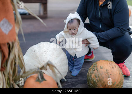 Ritratto di un bambino all'aperto in un orto di zucche di Halloween Foto Stock