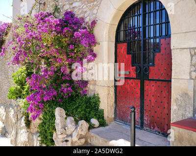 Una boccola grande di purple bougainvillea cresce in prossimità di un edificio rosso con gate metallici. Foto Stock