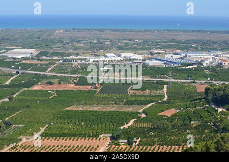 Gli agrumeti nelle pianure costiere di Xeresa (La Safor), la regione di Valencia, Mediterraneo spagnolo Foto Stock