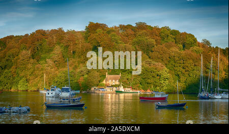 Serata al Greenway Quay, Dittisham, Devon, Regno Unito Foto Stock