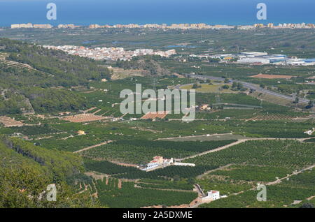 Gli agrumeti nelle pianure costiere di Xeresa (La Safor), la regione di Valencia, Mediterraneo spagnolo Foto Stock