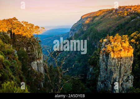 Splendida vista del pinnacolo di roccia, una grande colonna di quarzite che si elevano da una profonda gola nel Fiume Blyde Canyon riserva, Mpumalanga Provincia, Sud Africa Foto Stock