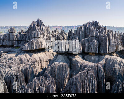 Splendida vista del carso formazioni calcaree di Tsingy de Bemaraha National Park, Madagascar Foto Stock
