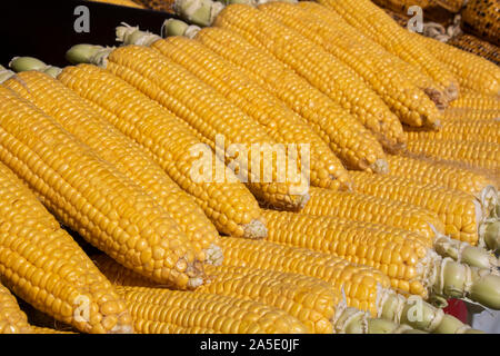 In prossimità delle materie i calli sul banco di lavoro. Il mais viene bollita e venduto. Foto Stock