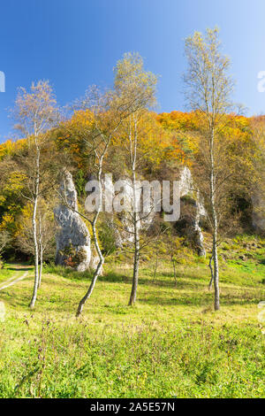 Ojcow National Park in autunno colori / paesaggio di montagna, Polonia Foto Stock