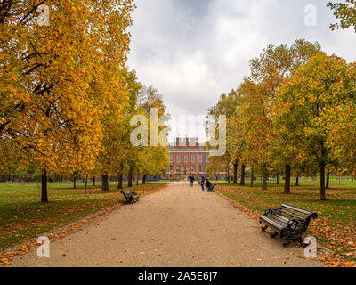 Viale alberato percorso, i giardini di Kensington, London, Regno Unito. Foto Stock