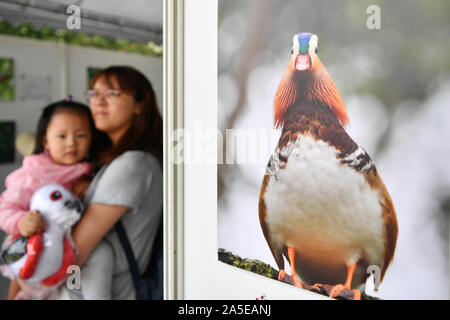 (191020) -- Taipei, 20 ott. 2019 (Xinhua) -- vista Persone un uccello-tema mostra fotografica durante il 2019 Taipei International Birdwatching Fair tenutasi a Guandu Parco Naturale a Taipei, a sud-est della Cina di Taiwan, 20 ott. 2019. (Xinhua/Chen Bin) Foto Stock