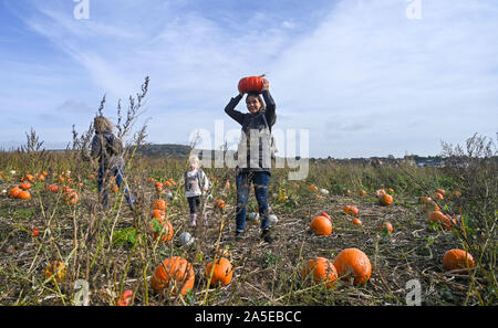 Worthing Regno Unito xx ottobre 2019 - Una giovane donna porta la sua zucca sul suo capo a scegliere il proprio centro di zucca al Sompting vicino a Worthing in West Sussex su una graziosa soleggiata giornata autunnale . Credito : Simon Dack / Alamy Live News Foto Stock